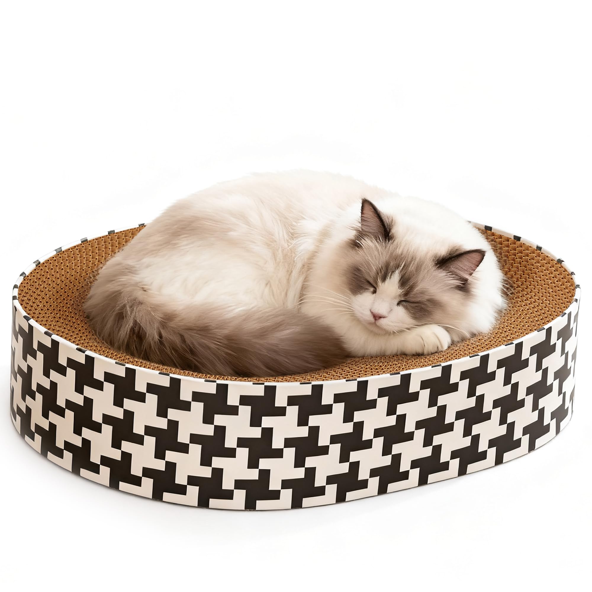 Markarbarka cat lounging in oval bed showcases a cozy retreat after play.
