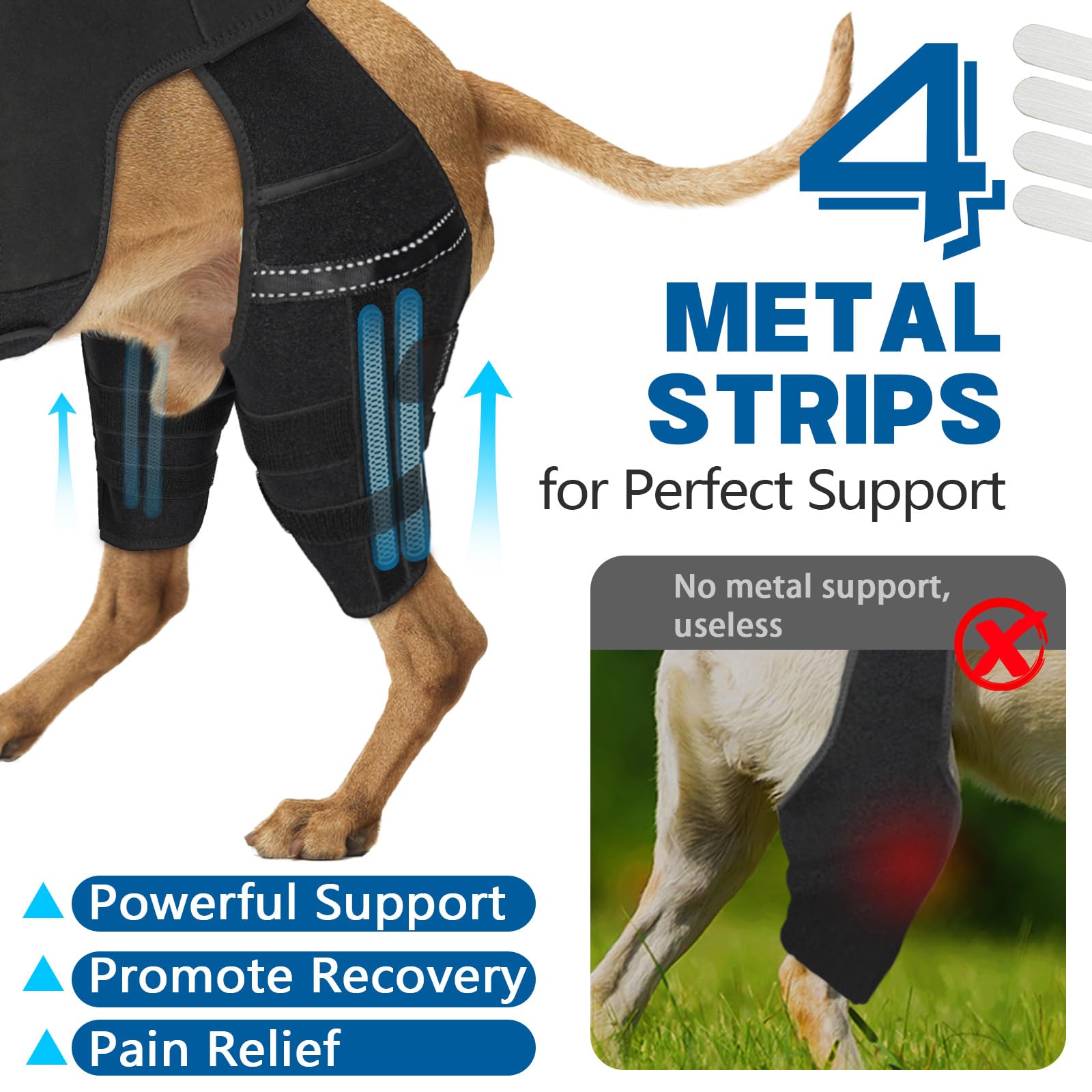 Marnonsis knee brace highlights four stabilizers for steady, secure hind-leg support