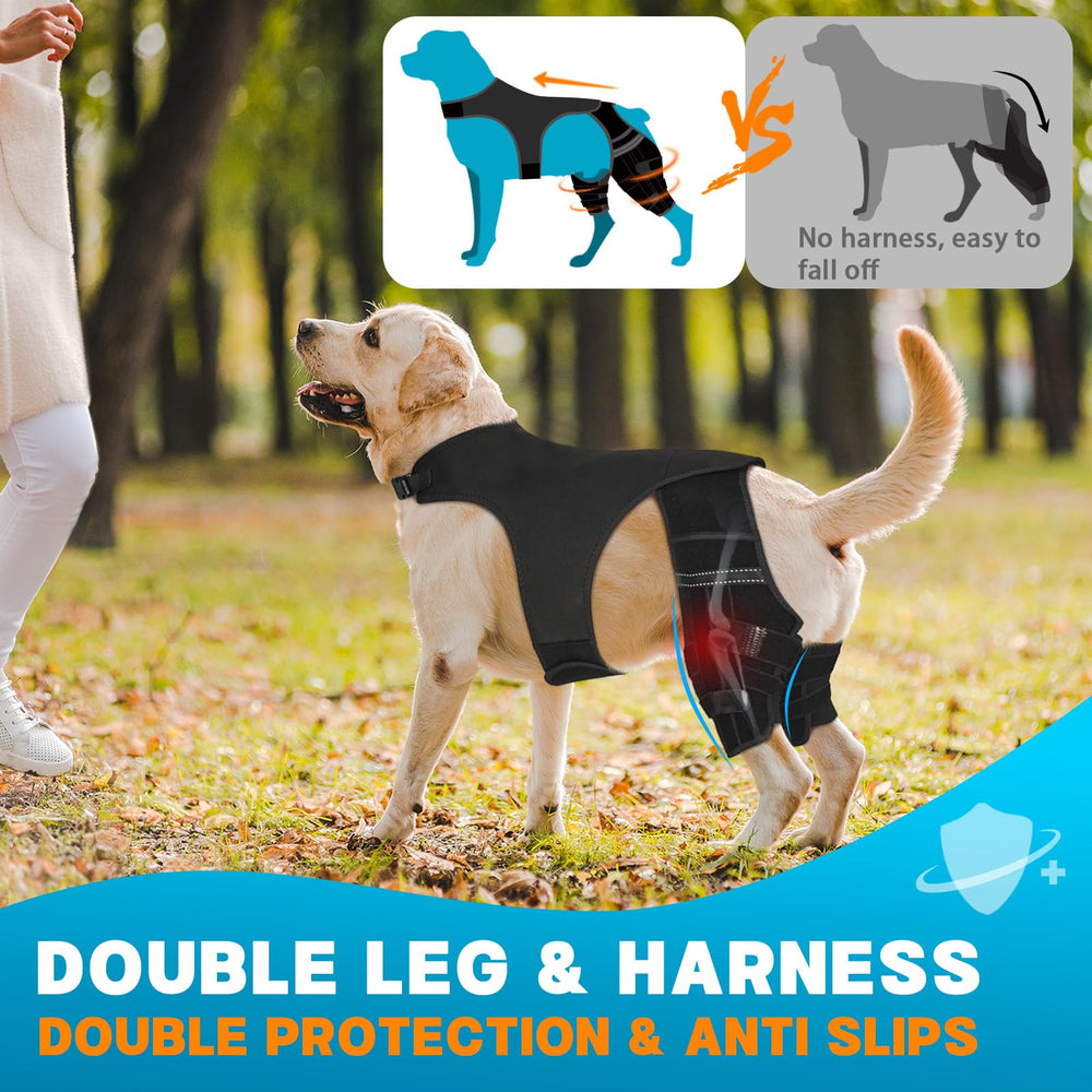 Marnonsis dog leg brace 4 stabilizers provide reinforced hind leg stabilization.