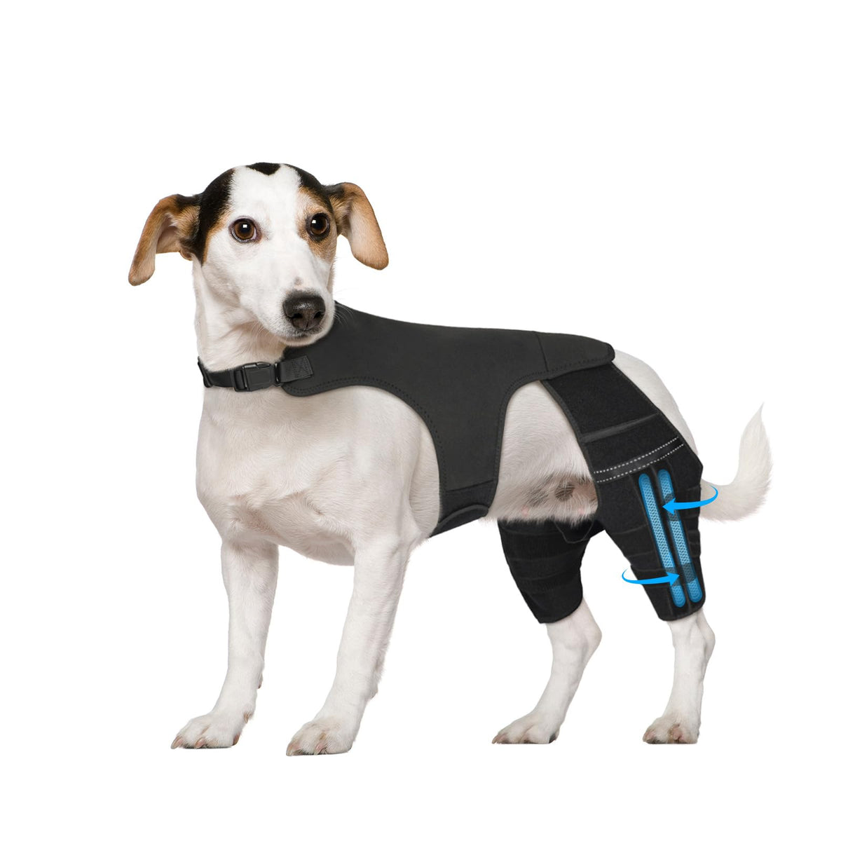 Marnonsis dog leg brace back leg stabilizers support knee and hip alignment during activity