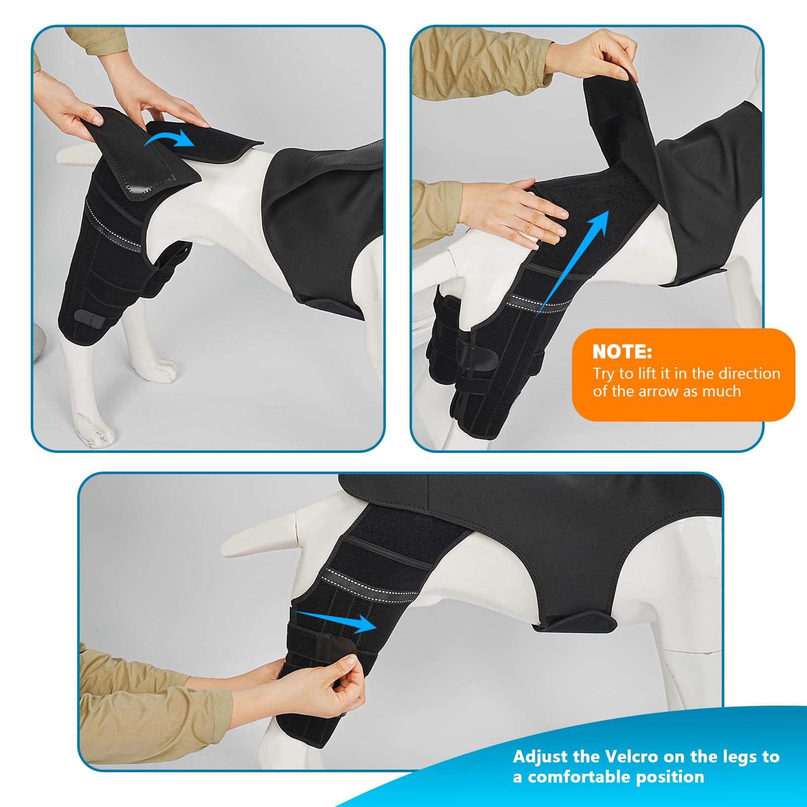 Marnonsis quality-assured canine orthopedic brace with 23 checks and supportive care.