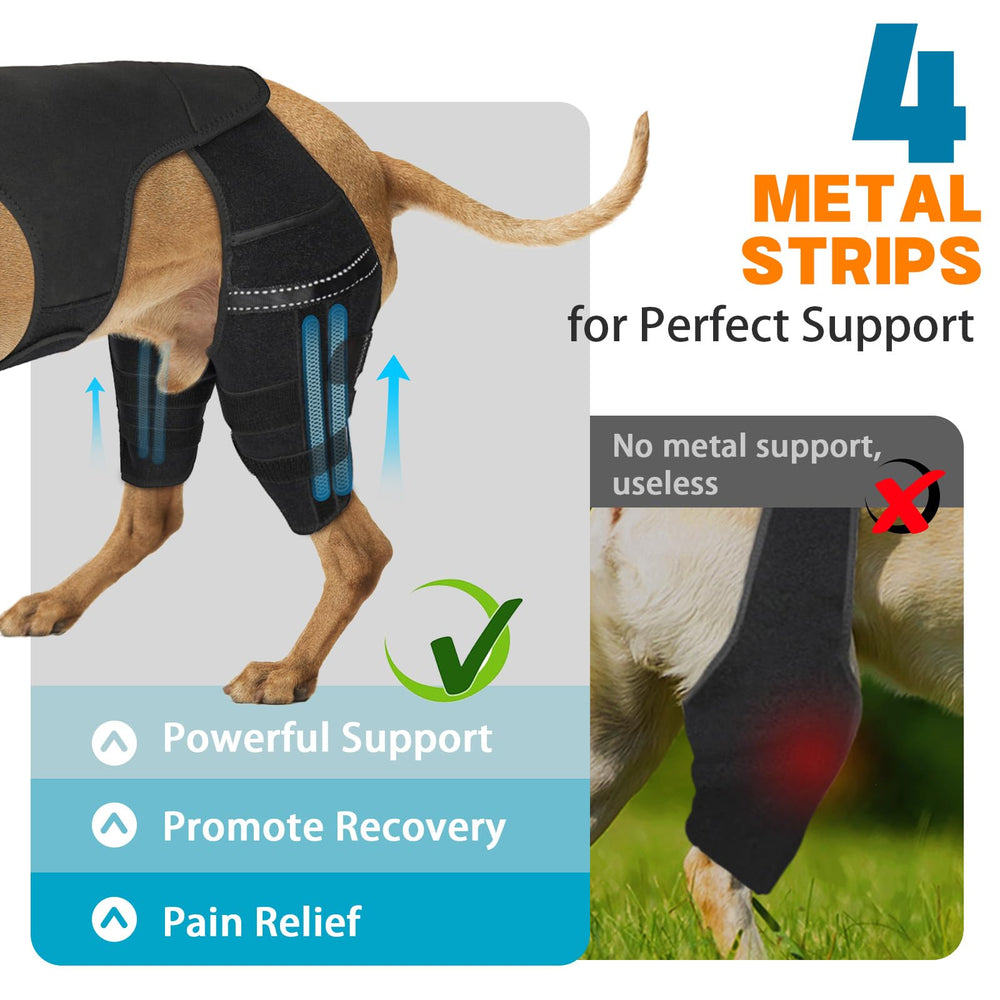 Marnonsis dog leg brace vest harness shows full-body support during runs.