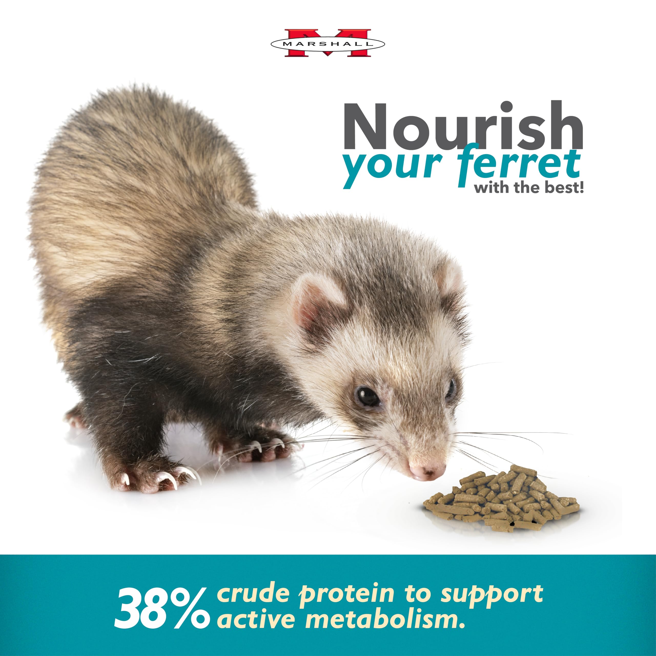Marshall Pet Products Select Chicken Ferret Diet kibble-closeup emphasizes crunchy texture for ferret enjoyment.