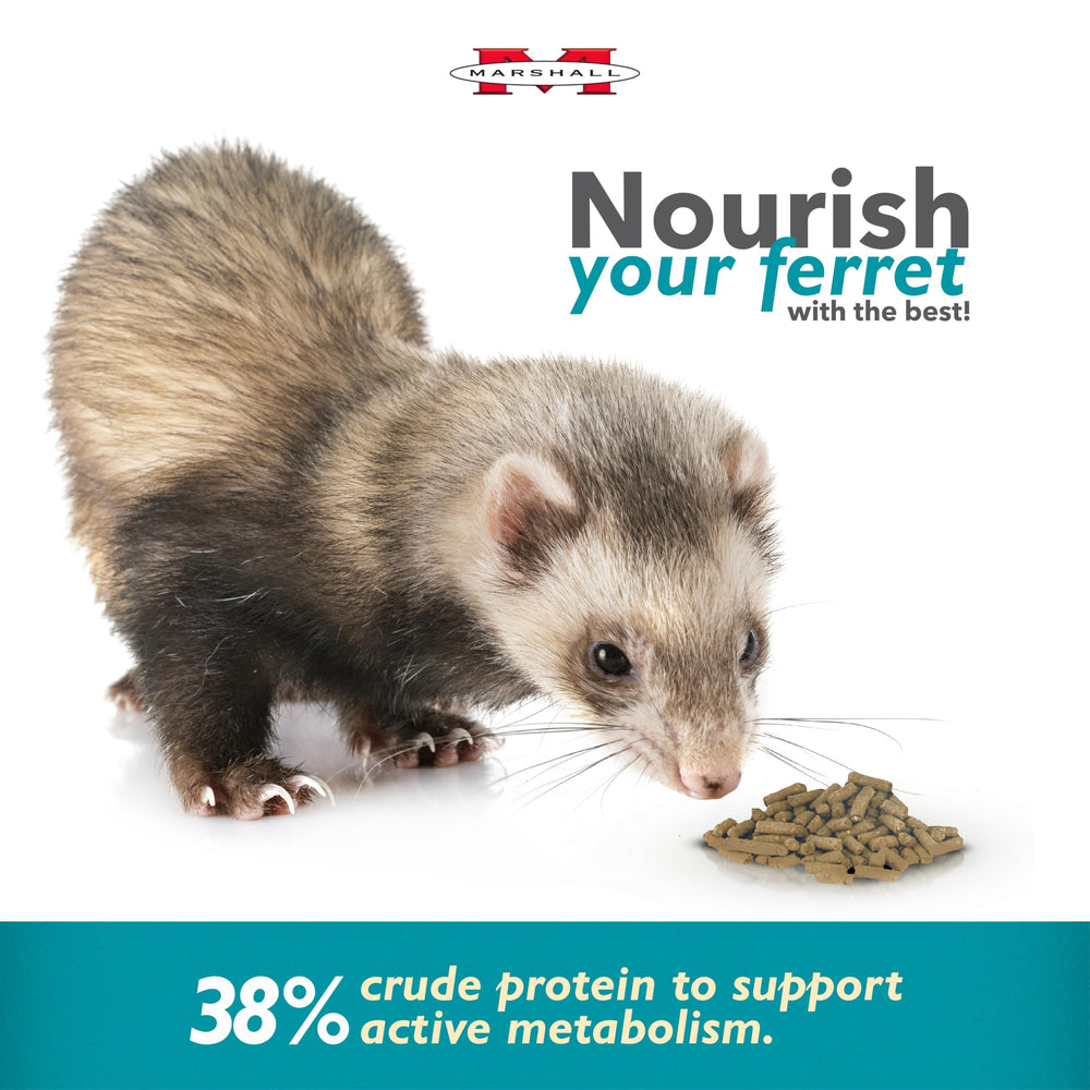 Marshall Pet Products Select Chicken Ferret Diet kibble-closeup emphasizes crunchy texture for ferret enjoyment.
