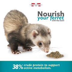 Marshall Pet Products Select Chicken Ferret Diet kibble-closeup emphasizes crunchy texture for ferret enjoyment.