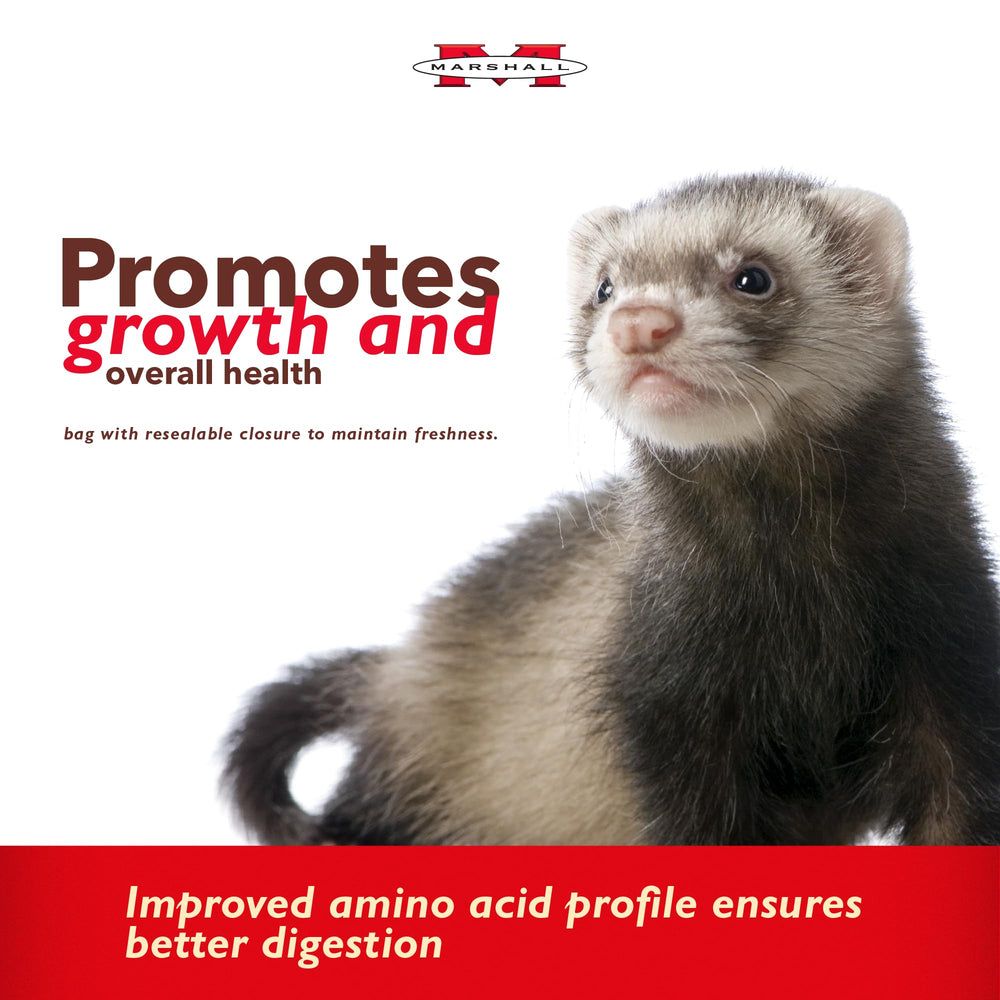 Marshall Premium Ferret Diet all-life-stages kibble close-up