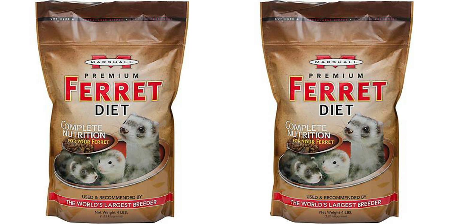Marshall Premium Ferret Diet Food kibble closeup, high-protein texture for energy.
