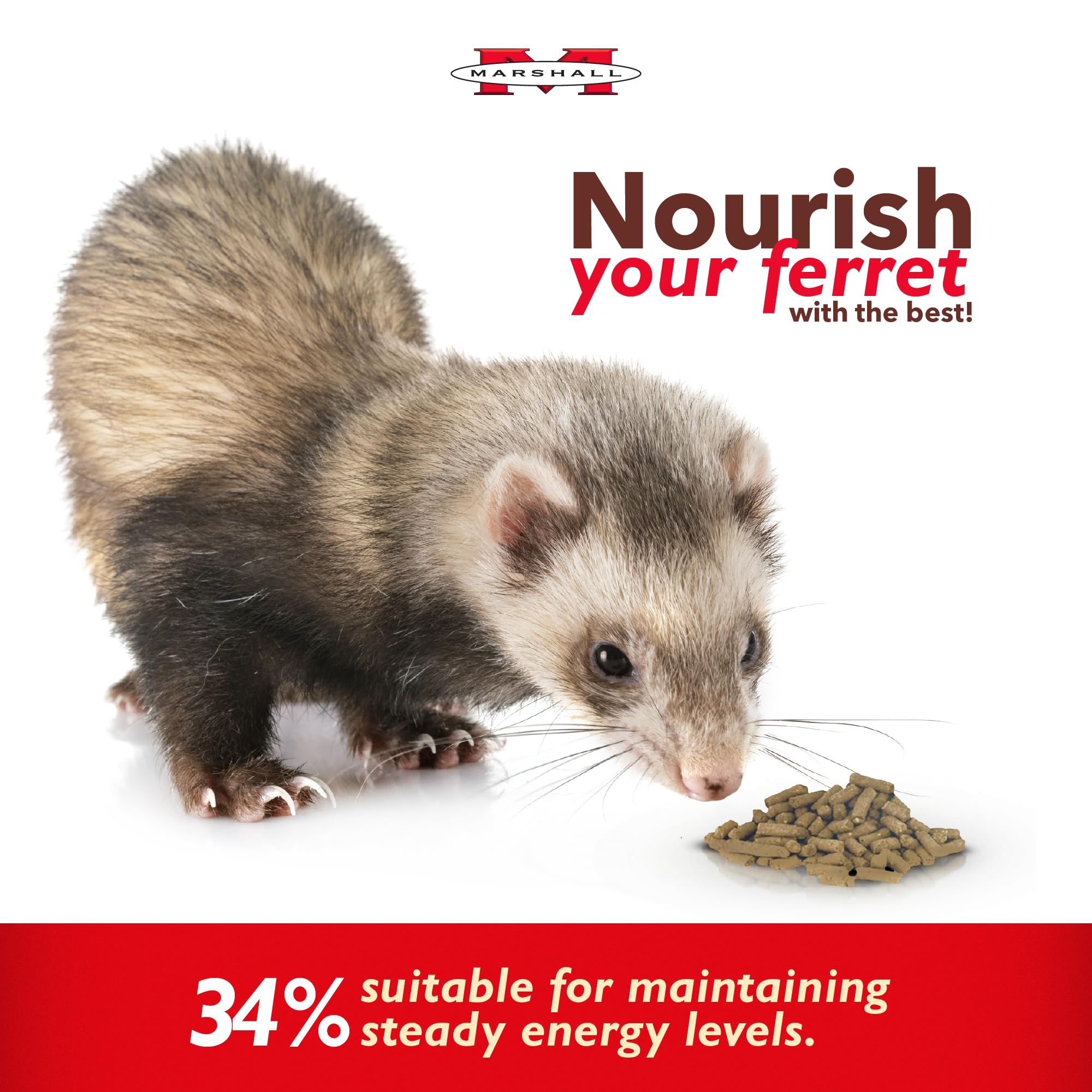 Marshall Premium Ferret Diet open bag highlighting bulk 18-pound packaging for storage