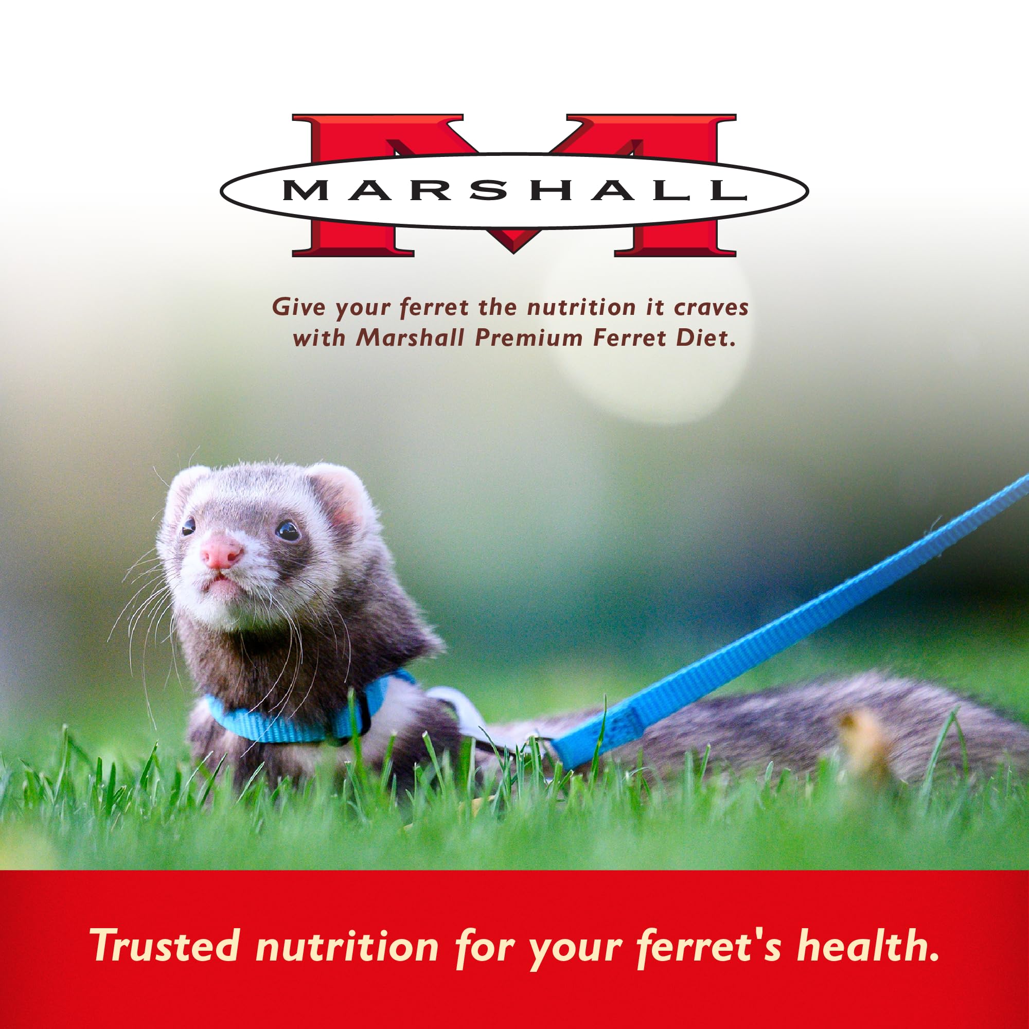 Marshall Premium Ferret Diet packaging on display for bulk storage and easy feeding