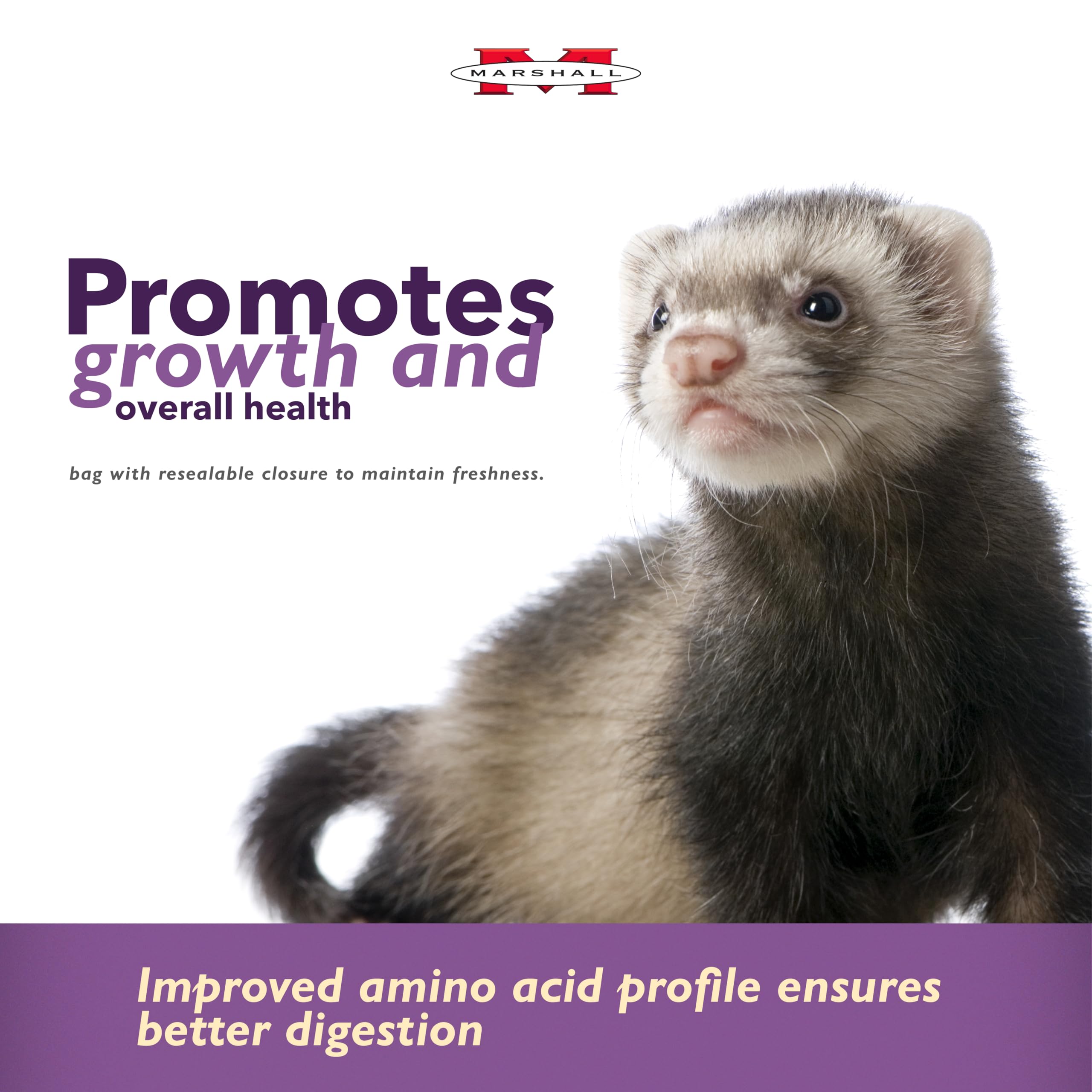 Marshall Premium Ferret Diet Senior Formula digestive health focus highlighted on label.