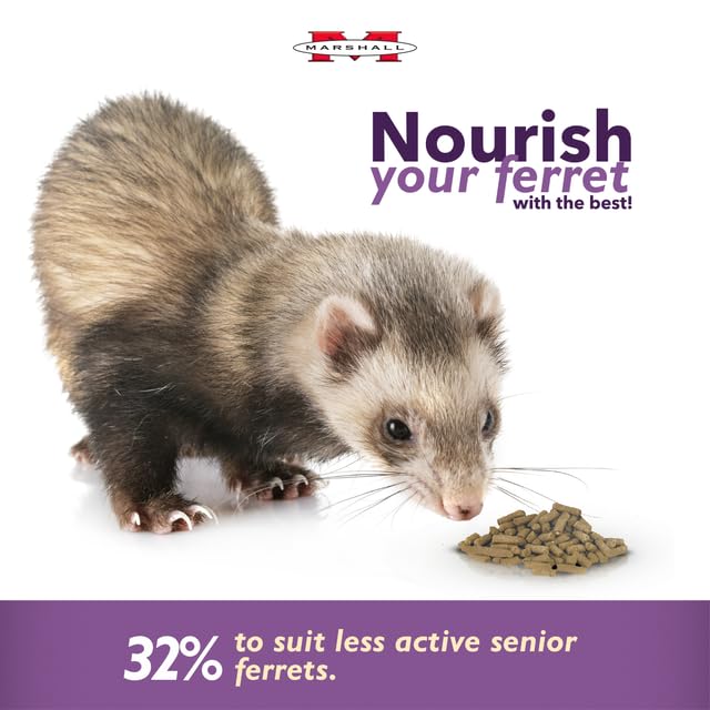 Marshall Premium Ferret Diet Senior Formula kibble close-up highlights high-protein, tasty bite.