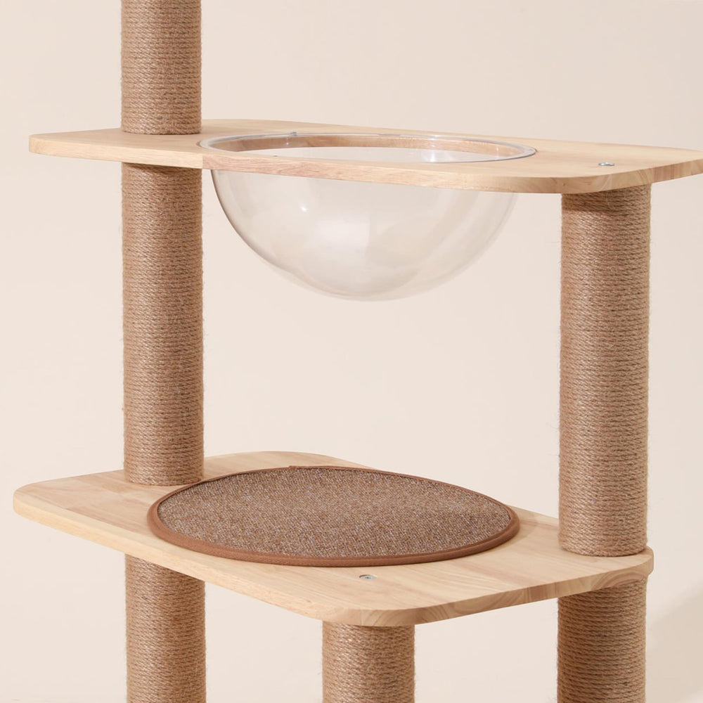 Marsrut cat window perch idea demonstrates multipurpose space pod use
