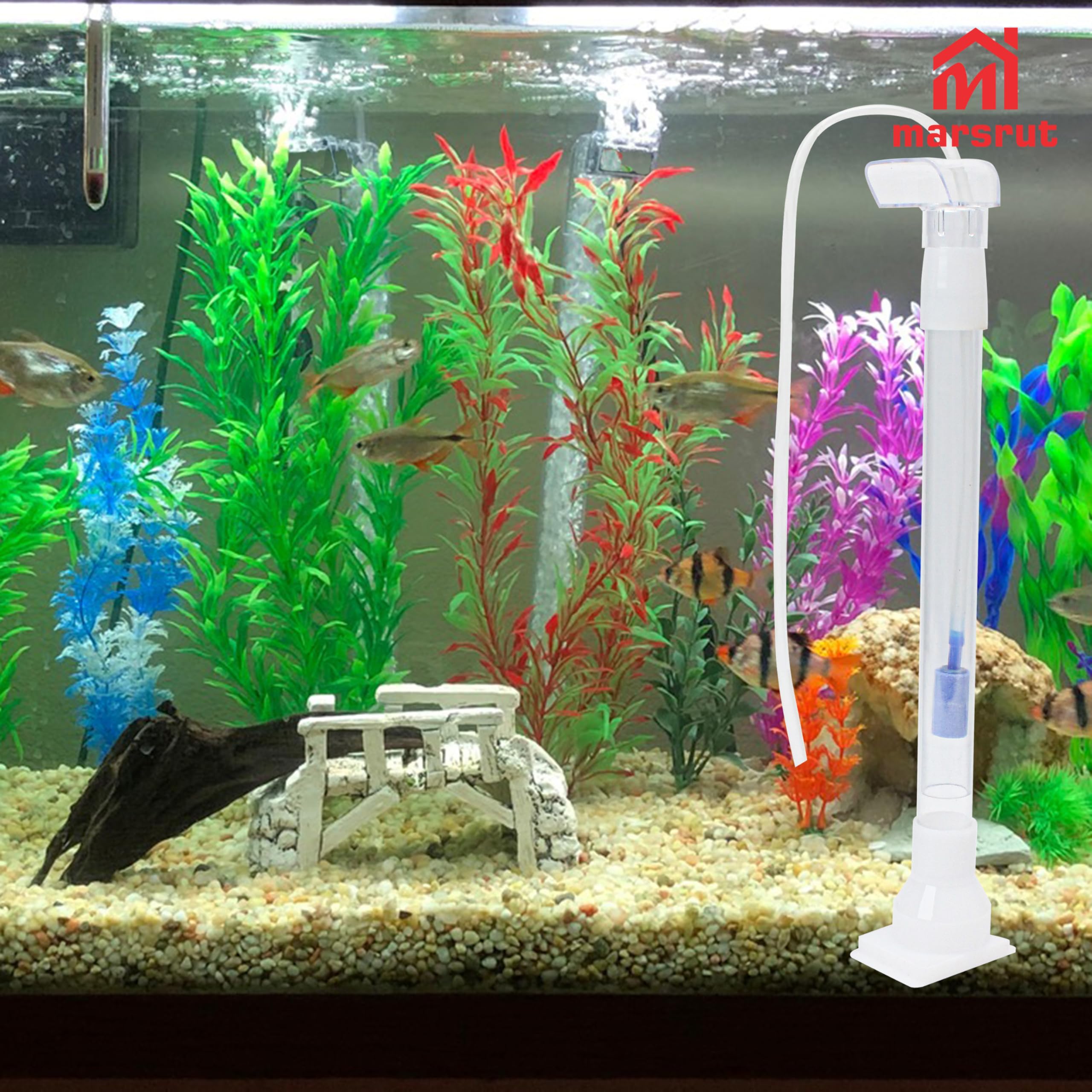 Marsrut freshwater-saltwater friendly setup demonstrates versatile use.