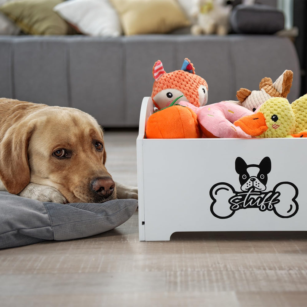 Marsui dog supply box in living room decor complements modern interiors.