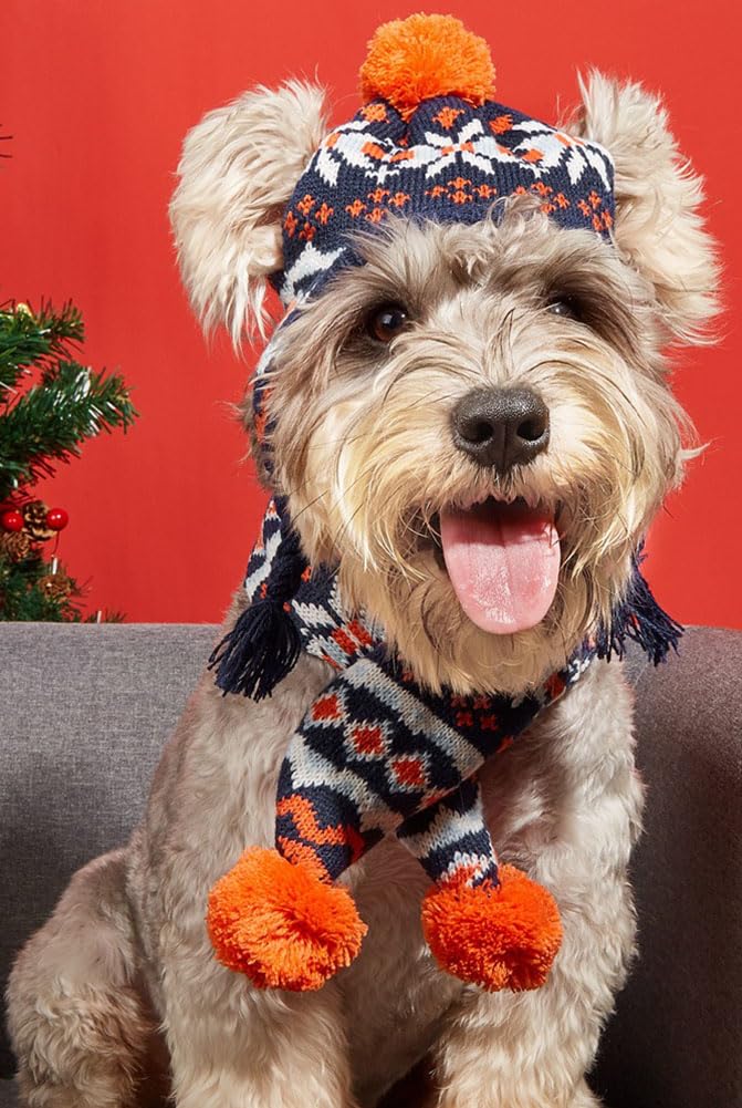 MaruPet holiday photo shoot look with hat and scarf ensemble for small pets