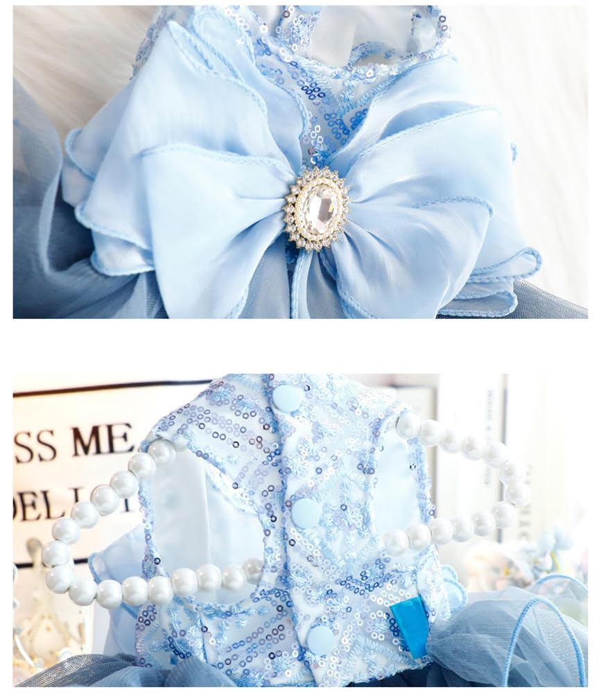 MaruPet dress worn during wedding parade for special occasions