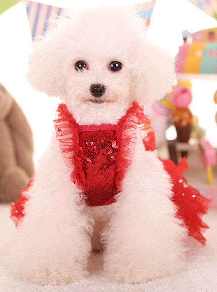MaruPet fashion sweet puppy dress red color, boosts visibility for outdoor moments and party vibes.