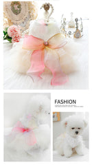 MaruPet Fashion Sweet Puppy Dress lace trim close-up, delicate edging and couture vibe.