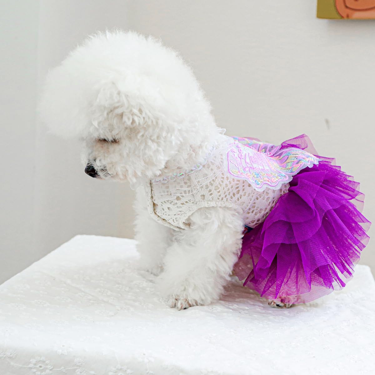 MaruPet side-view on dog demonstrates comfortable, easy-wear fit