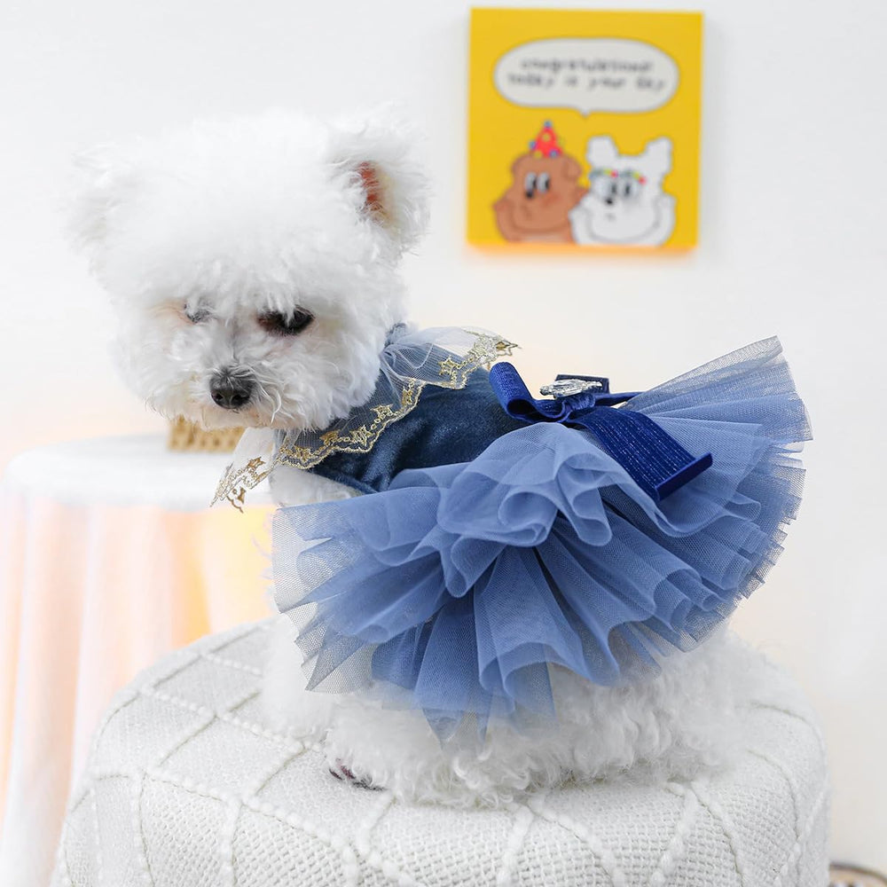 MaruPet puppy wearing dress at wedding or celebration