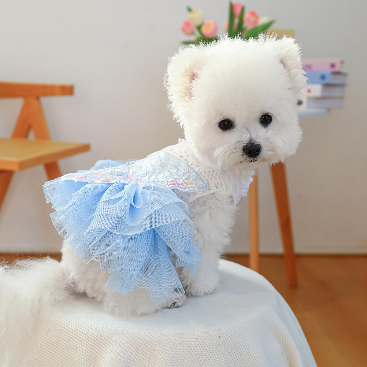 MaruPet Fashion Sweet Puppy Dress on tiny puppy, perfect for weddings and parties.