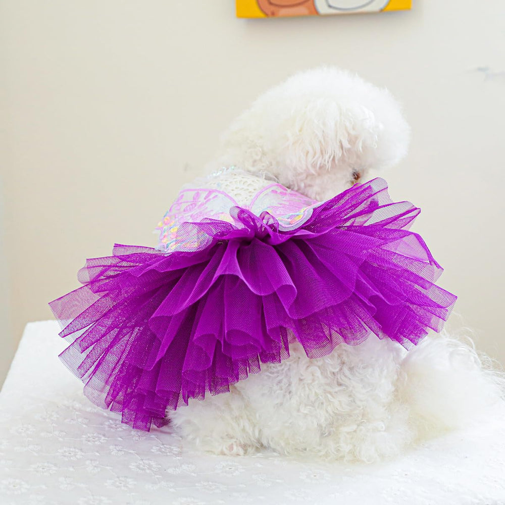 MaruPet purple-color shot reveals vibrant shade ideal for celebrations