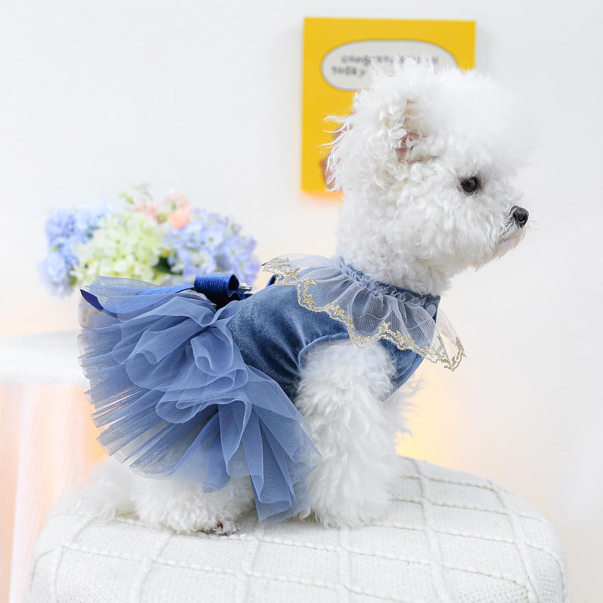 MaruPet tutu skirt view demonstrates airy volume and playful elegance.