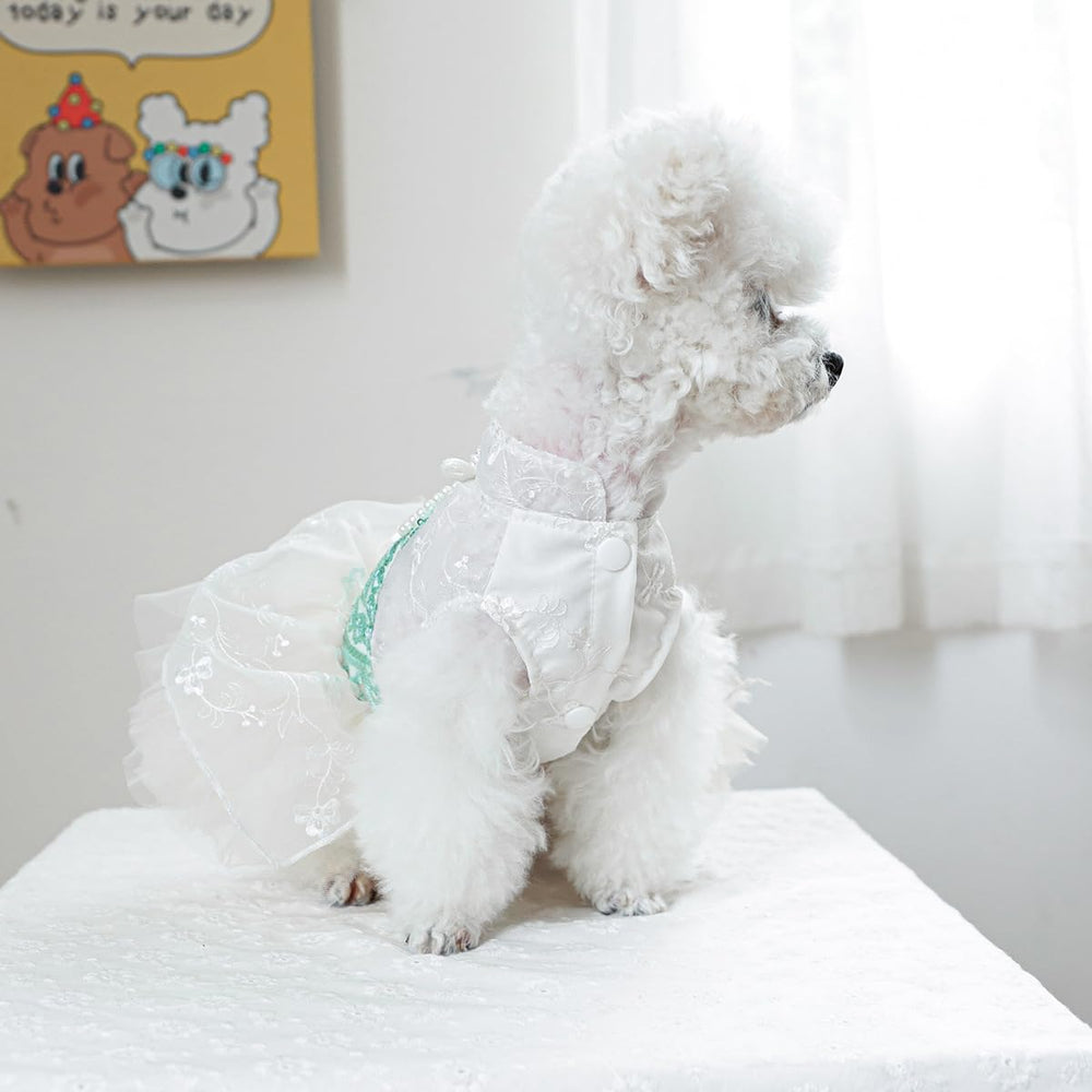 MaruPet sweet puppy dress tutu-skirt image highlighting playful party-ready style