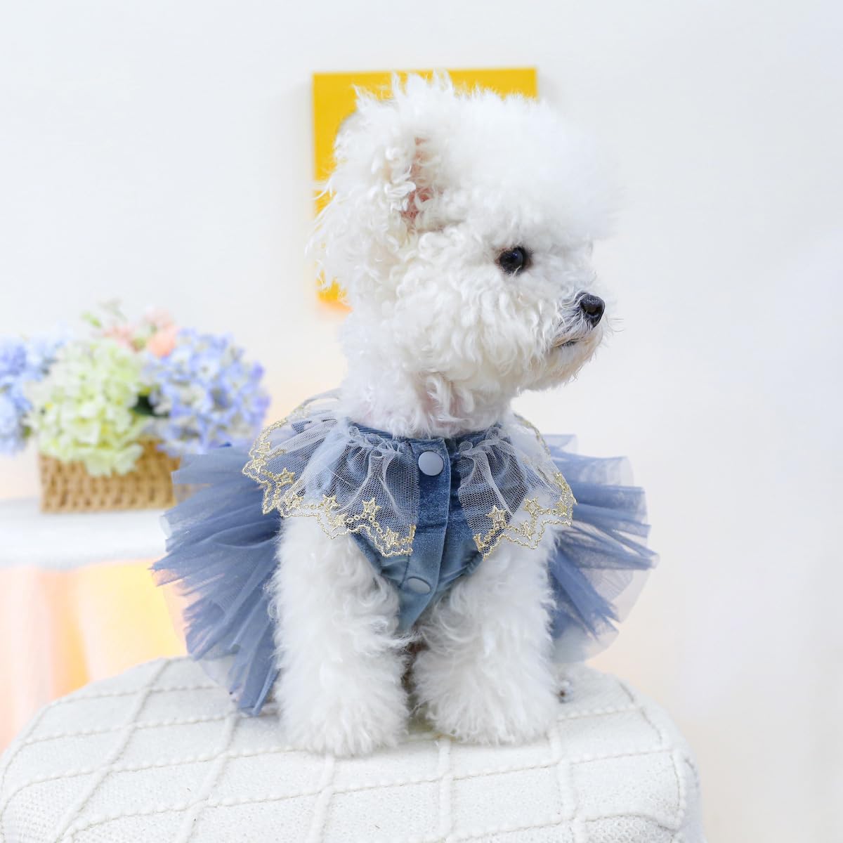 MaruPet tutu skirt on tiny pup ready for party
