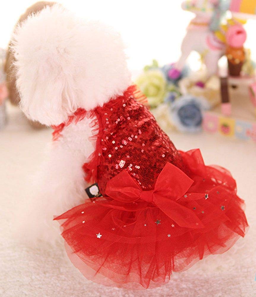 MaruPet party wear dog dress in crowd-ready style for events.