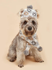 MaruPet festive pet set shown for Christmas photos and party decoration