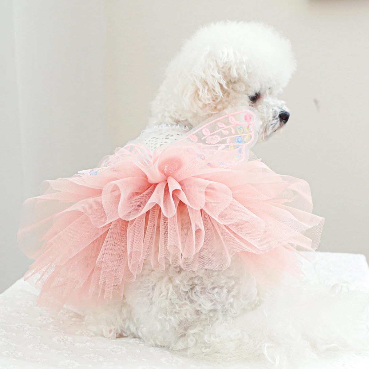 MaruPet puppy chest measurement guide to ensure comfortable sizing