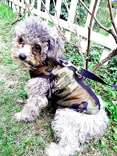 MaruPet small-dog size chart shot helps pick correct size