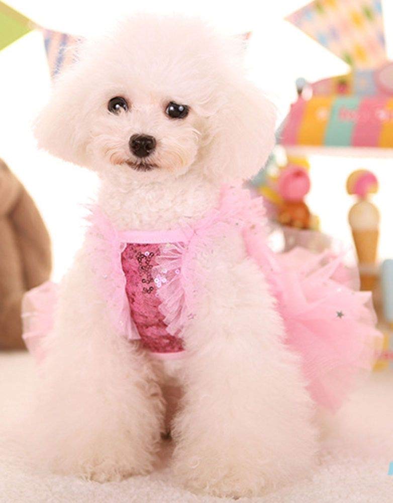 MaruPet small puppy size chart image, helps ensure accurate fitting.