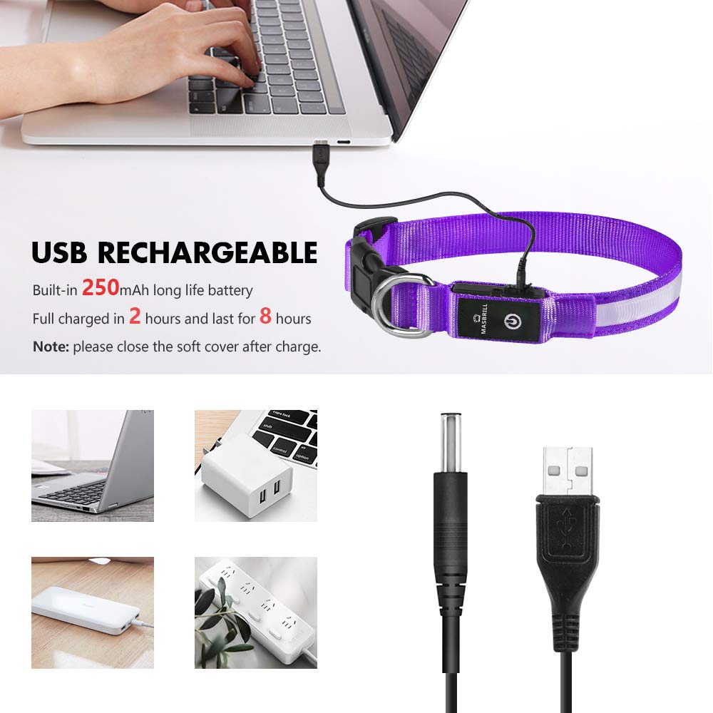 MASBRILL 3-mode light up collar showing fast, steady, or constant glow.