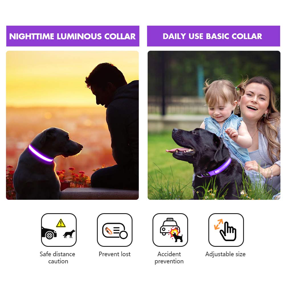 MASBRILL adjustable buckle-fit collar on a medium dog demonstrates easy sizing.
