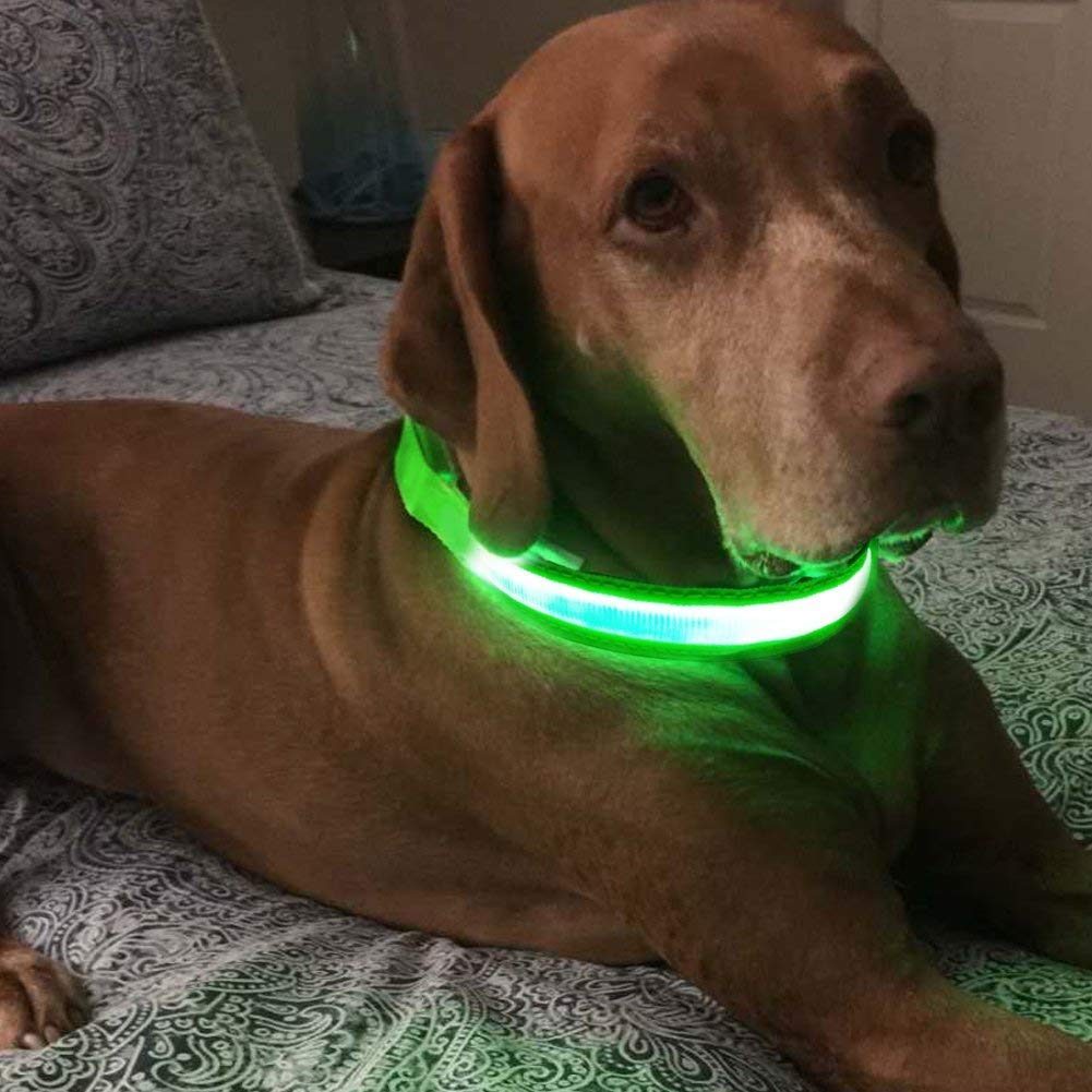 Masbrill LED Dog Collar mode options for visibility control.