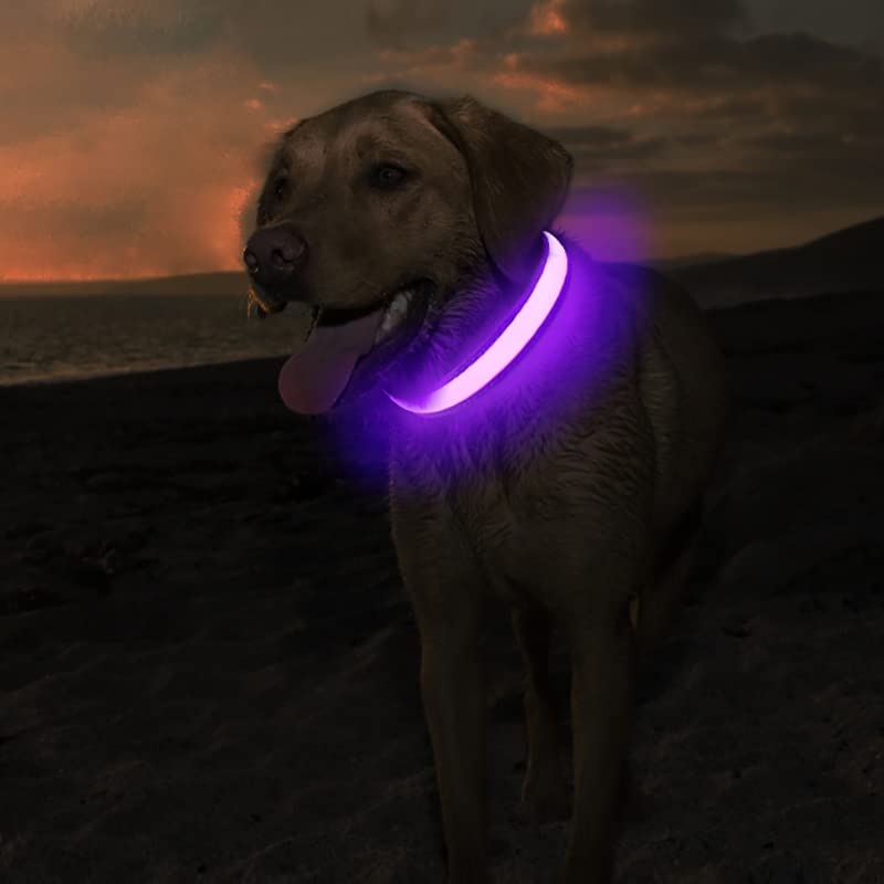 MASBRILL LED Dog Collar blue glow enhances safety for evening runs