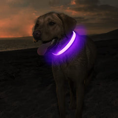 MASBRILL LED Dog Collar blue glow enhances safety for evening runs