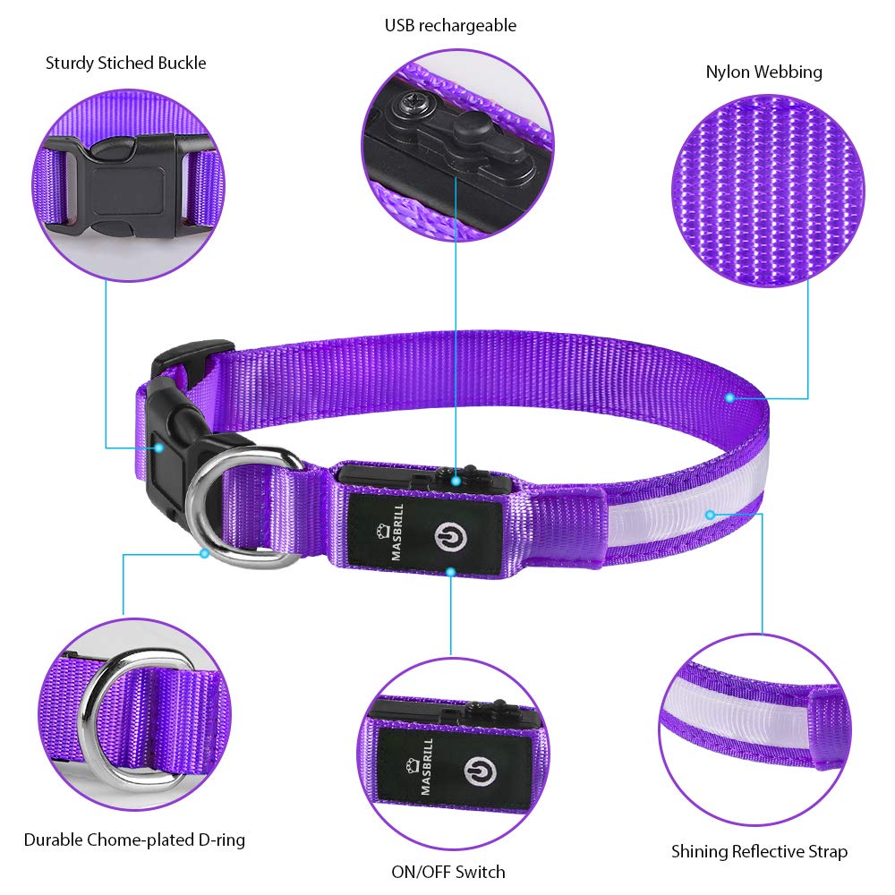 MASBRILL LED Dog Collar green glow boosts outdoor visibility in low light
