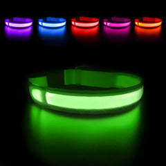 Masbrill LED Dog Collar packaging shows quick setup for night walks.