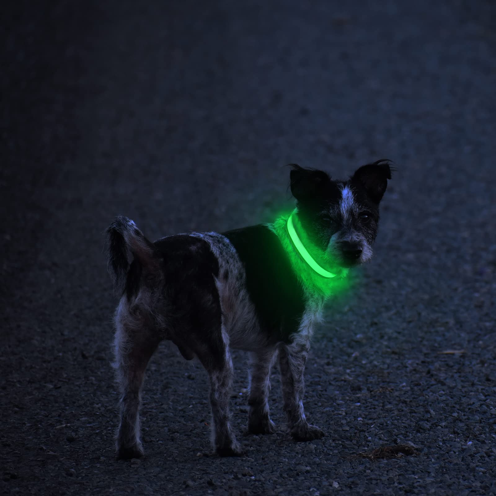 MASBRILL LED Dog Collar side view showing adjustable strap for secure fit.