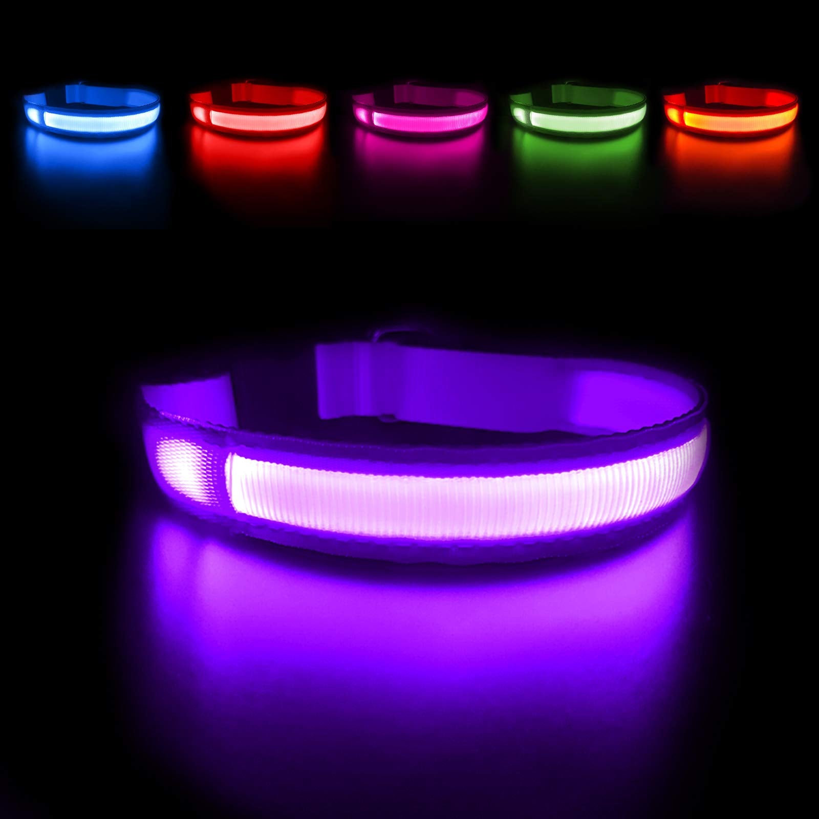 MASBRILL light up collar on a dog at dusk for safer night walks.