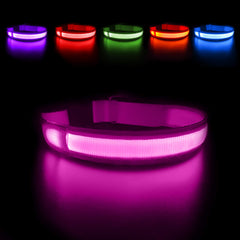 MASBRILL light-up collar on dog neck improves visibility during evening walks for safer night outings