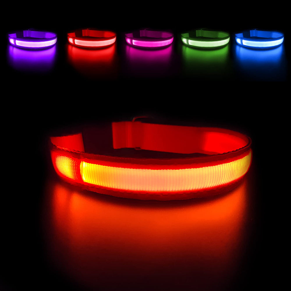 MASBRILL light-up dog collar front view shows bright visibility for night walks