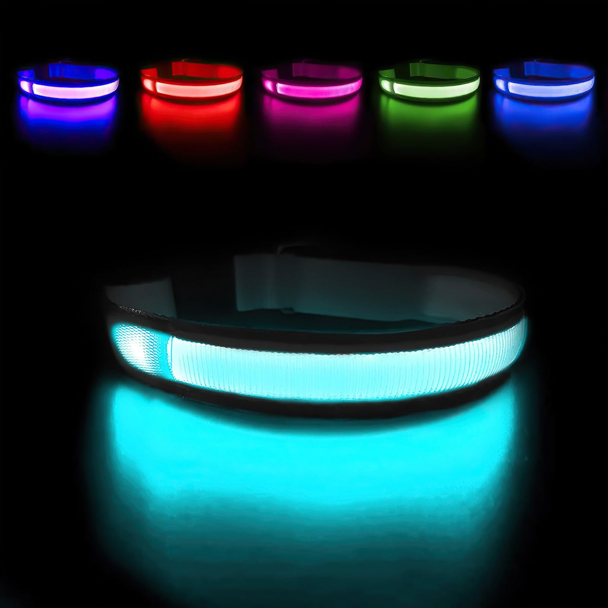 Masbrill light-up dog collar full view highlighting high-visibility for night walks