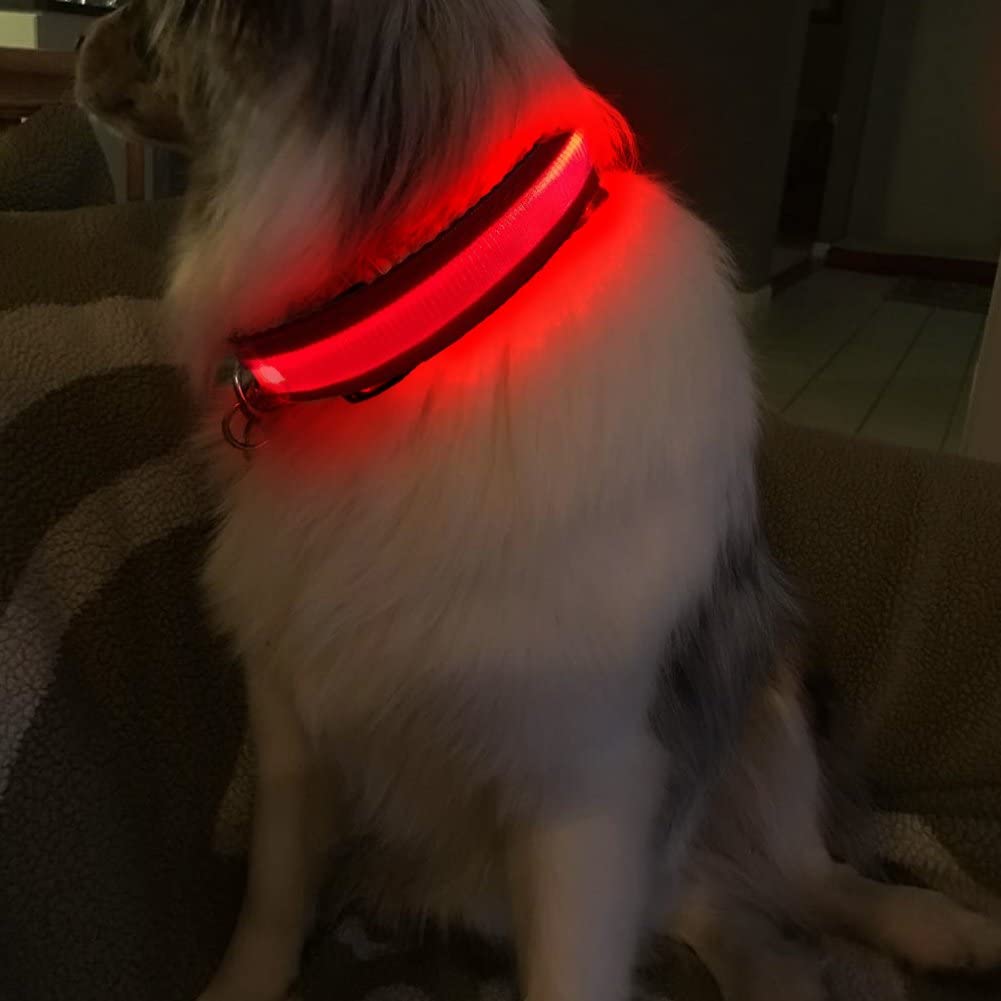 MASBRILL Light Up Dog Collar compact glow aids nighttime visibility during strolls.