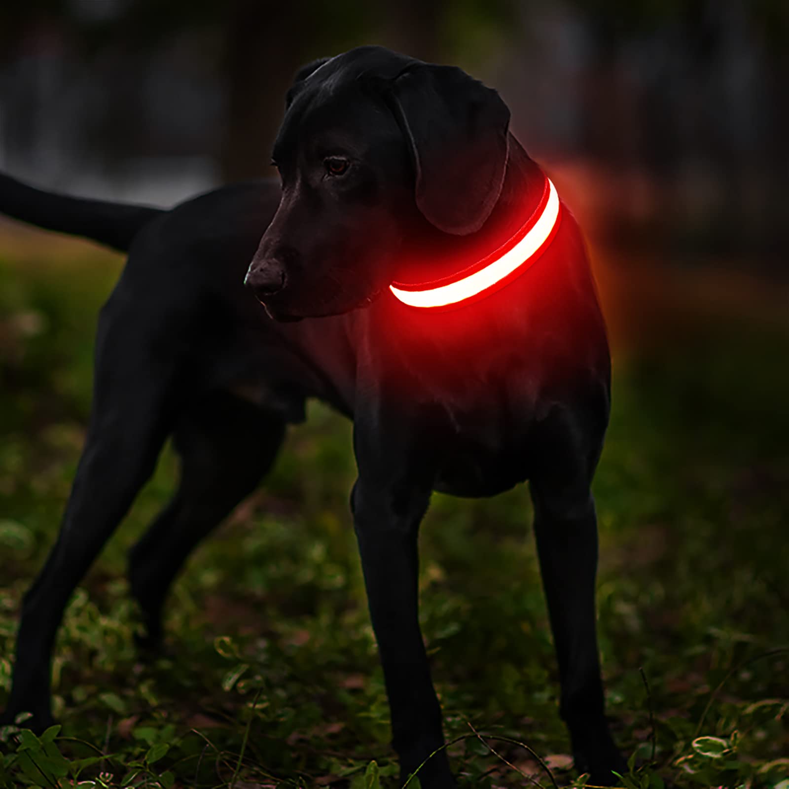 MASBRILL Light Up Dog Collar USB rechargeable design supports easy, cost-saving charging.