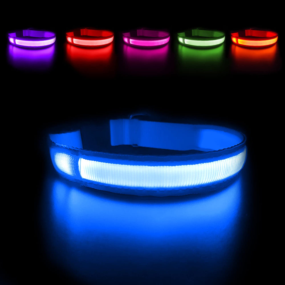 MASBRILL Light Up DogCollar front view on a dog improves night visibility
