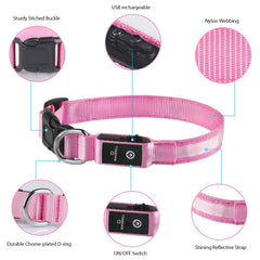 MASBRILL lighted dog collar waterproof design withstands rain and splashes during outdoor adventures